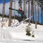 Jestlipak to ten smrk ustojí?