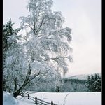 Šumavské zimní téma