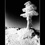 .:Ďumbier : Január 2003 :.