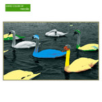 labute od BENNETONU ...