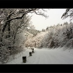 probuzení do bílého rána