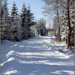 Předjaří na Vysočině