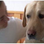 někdy lidem nerozumím.....