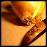 <B>... Cibuľa ...</b><br>