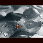 <b>... three ...</b><br>