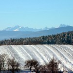 Pohladnica spod Tatier