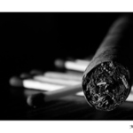 cigar #01