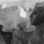 the road ahead is foggy