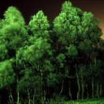 NightVision#2