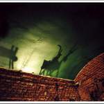 kozenky alias goat ghosts #1