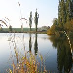 Poezie z Jižních Čech