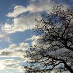 Brněnské odpoledne...