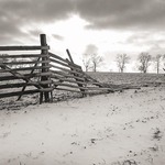 Z Vysočiny.........