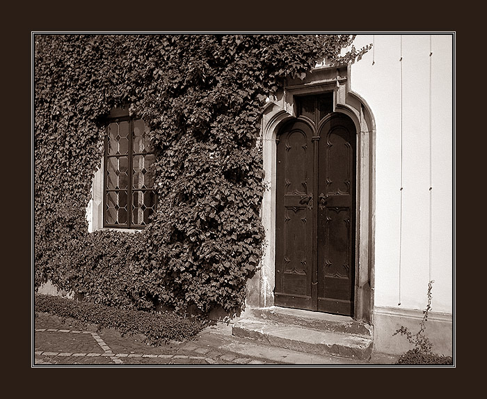 zátiší jak z ....