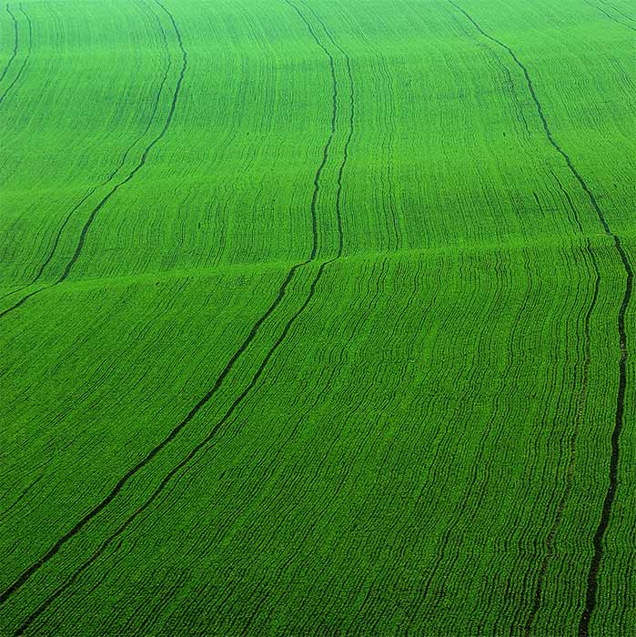 <b>= green green =</b>