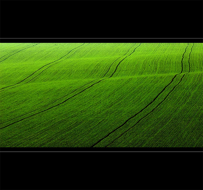 <b> - fresh green II. -</b>