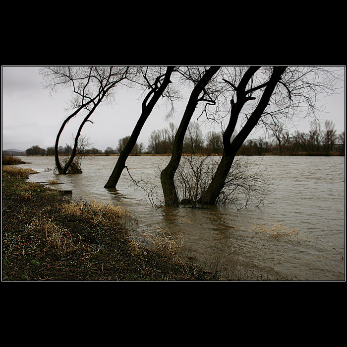 ...a zase stoupa....