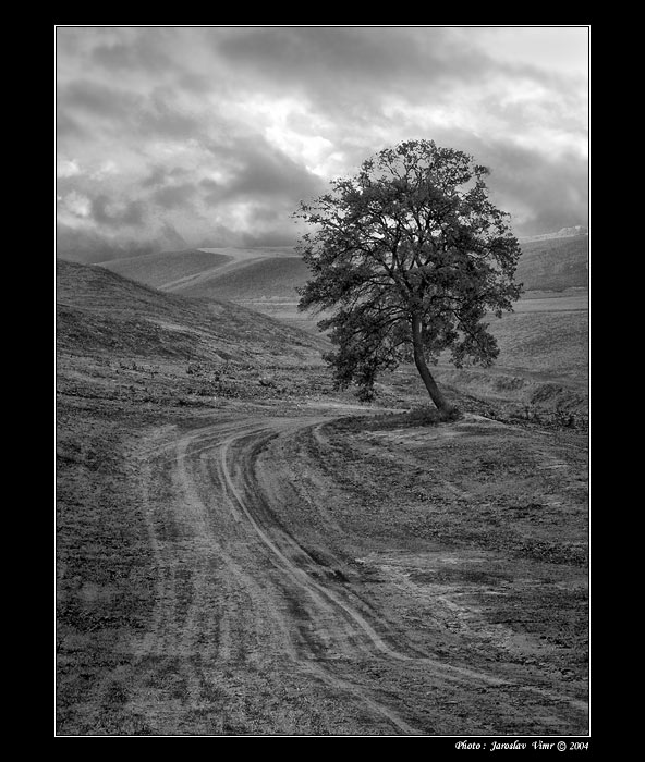 <b> - Před bouří - </b>