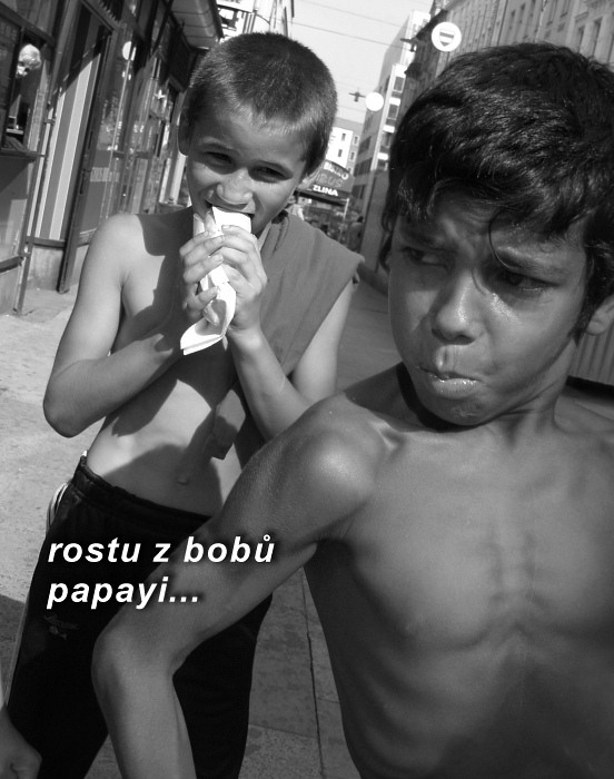 Xboy