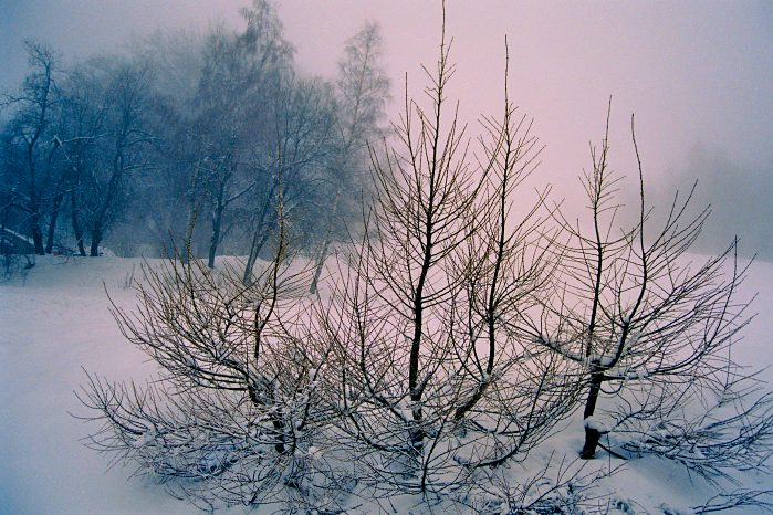 Zima na Polevsku