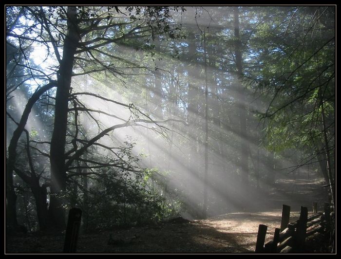 Cilem je cesta. (Zenové přísloví)