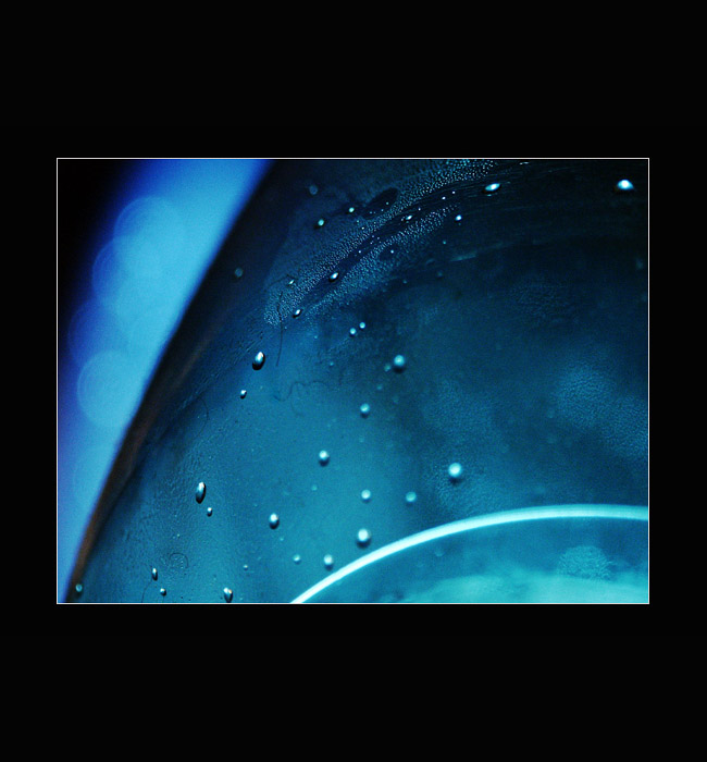 ...microcosmos...