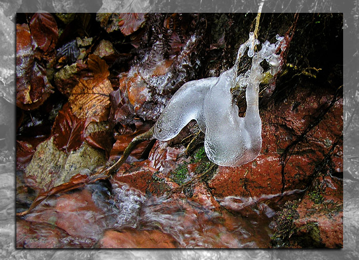 Akt přírody v proudu času
