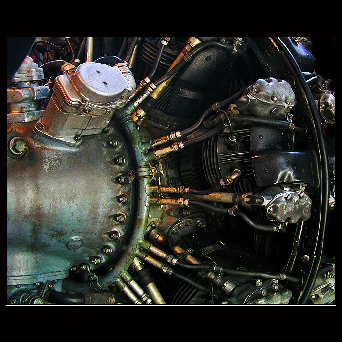 Ach, ta vůně oleje!