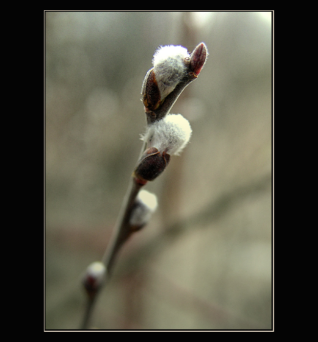 Konečně je tu jaro!