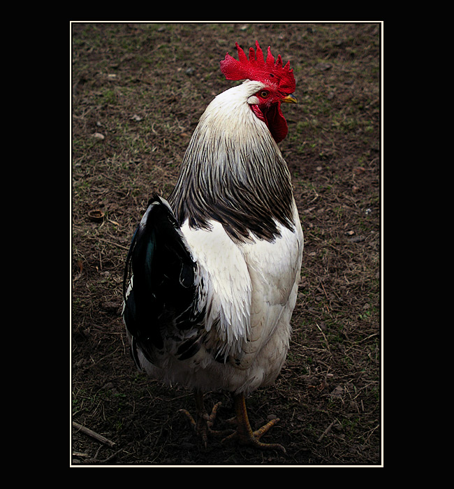 Vlezte mi všichni ...