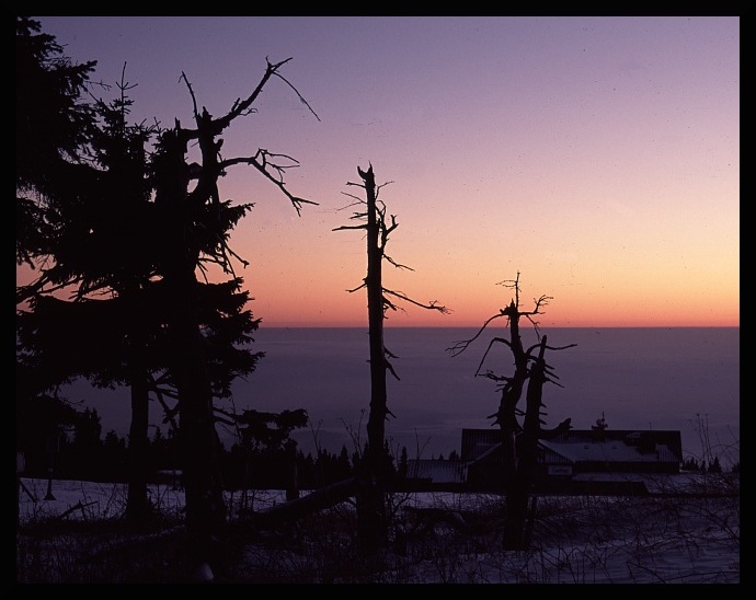 citim potrebu takto vyjadrit sve emoce