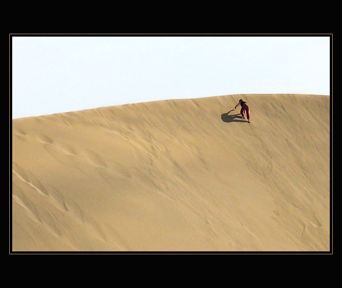 <b>Slon na poušti</b>