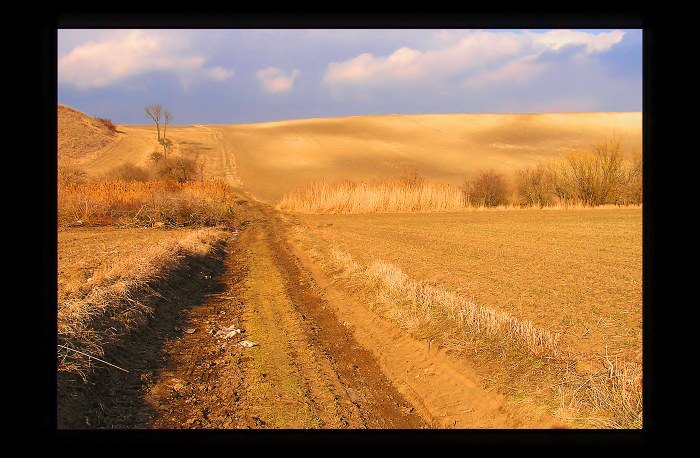 sahara po česku....