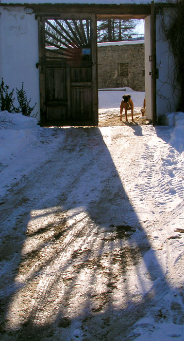Hlídač