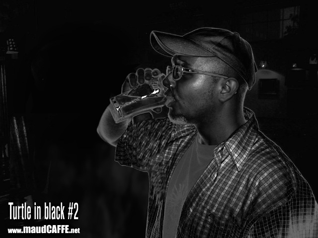 Turtle in black #2