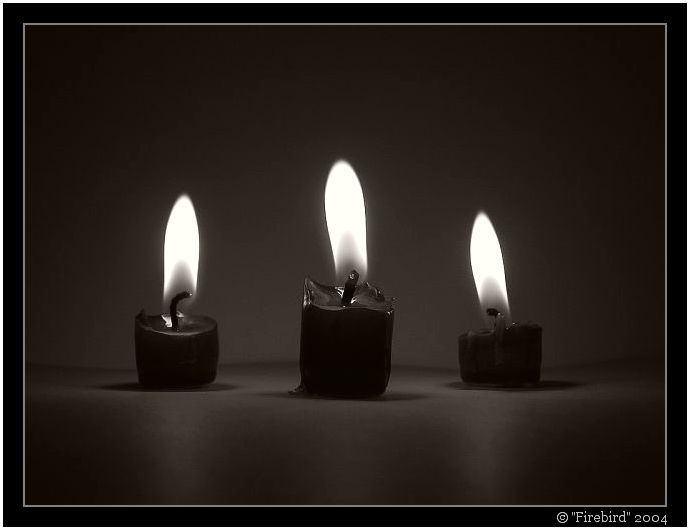 Doba temna ... a svobody