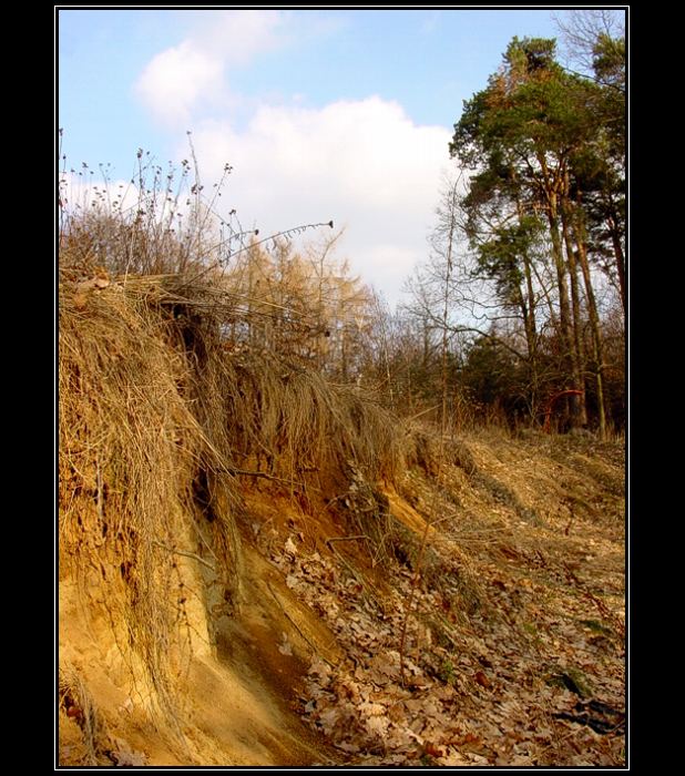 Severočeské předjaří