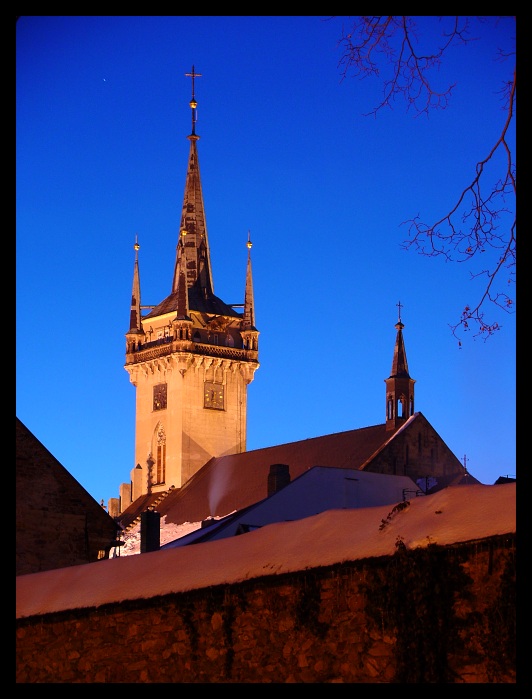 Věž