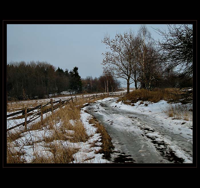 ...cesta v pastvinách