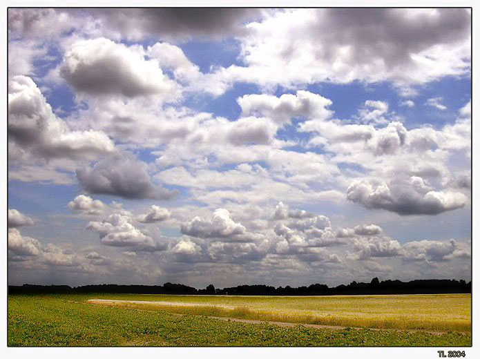 <b>--Letní den--</b>