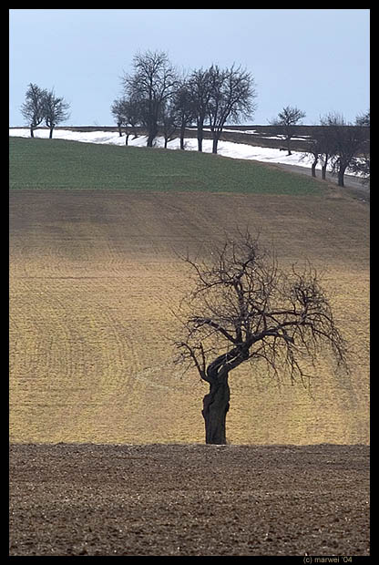 Únorová krajina