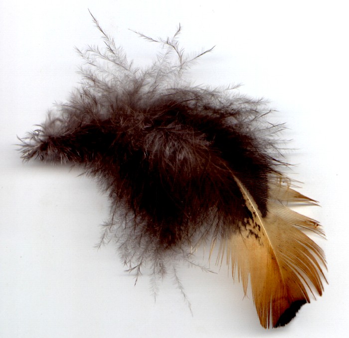 Peříčko