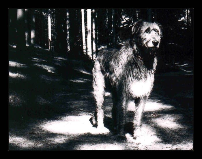 Kde se vzal, tu se vzal...