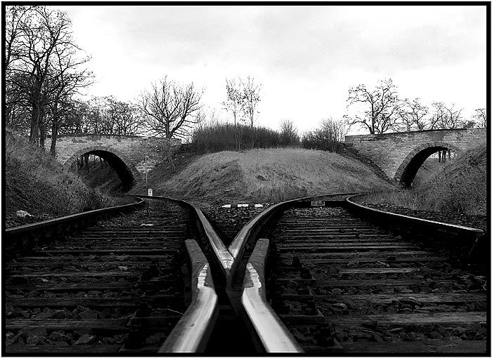 )(   Kudy dál ?   )(