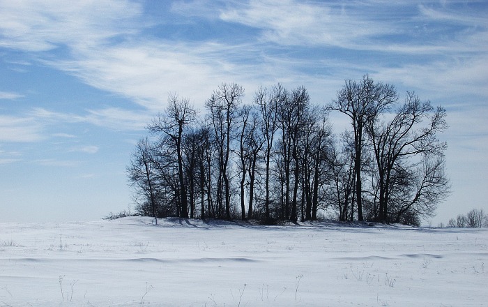 Ostrov