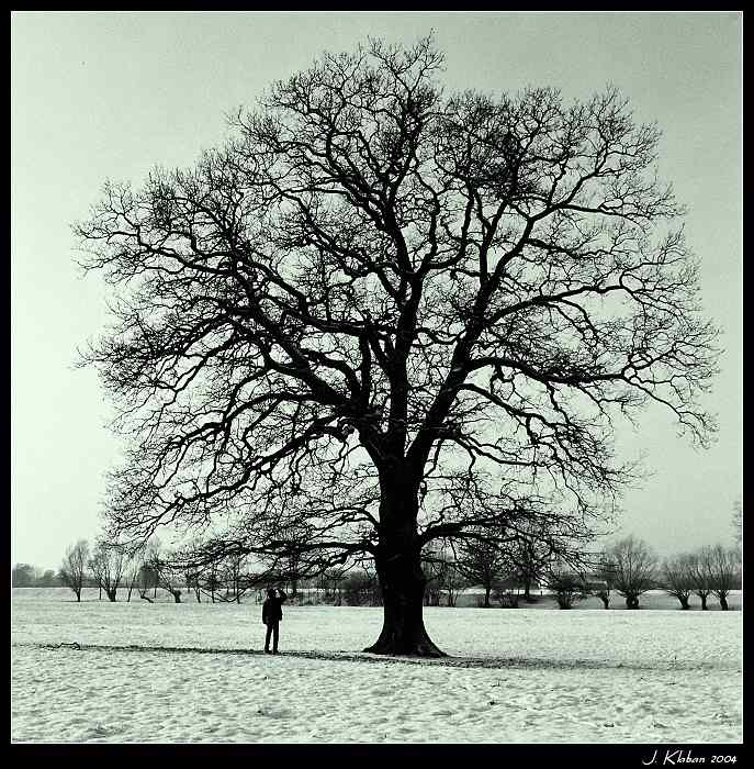 Velký a malý; Starý a mladý; Moudrý a ...