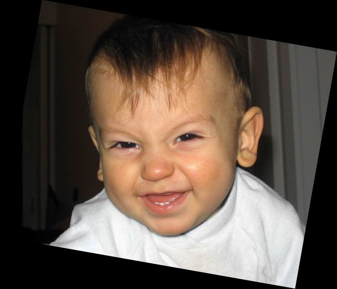 Baby-mafia