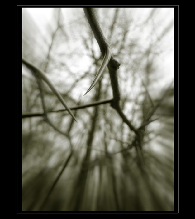 Thorny