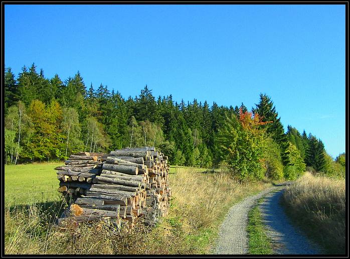 Podzim na vysočině III