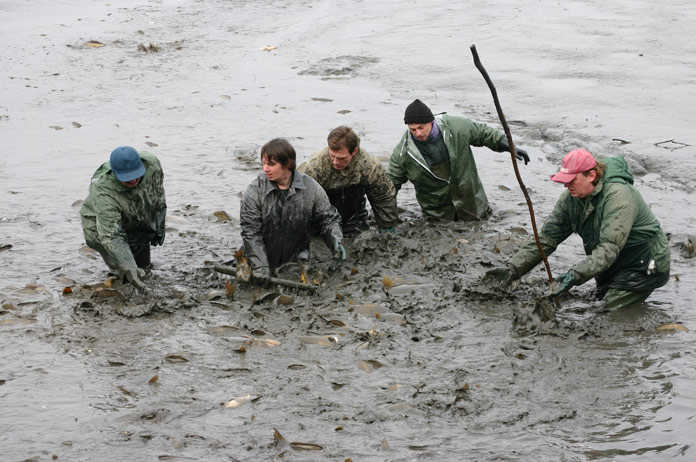Rybičky, rybičky ...